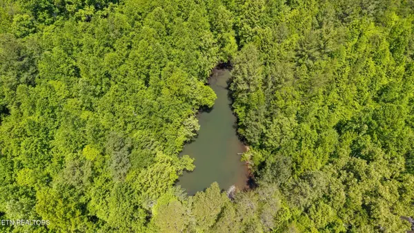 0 Old Chilhowee Rd, Seymour, TN 37865