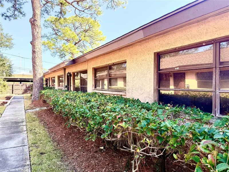 5603 SYCAMORE ST N #5603, St Petersburg, FL 33703
