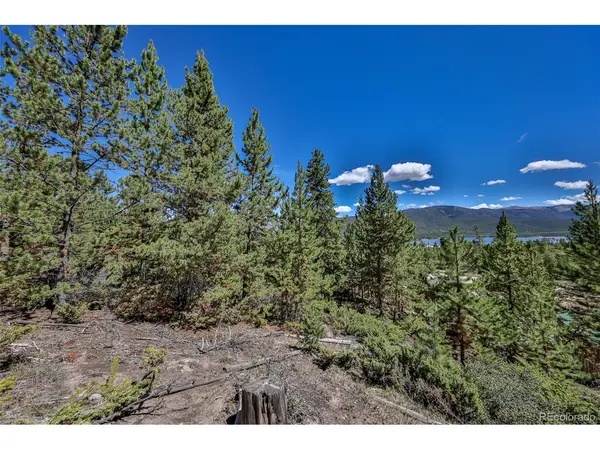 49 County Road 46, Grand Lake, CO 80447