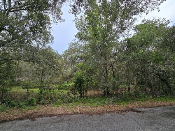 13311 MIDWAY AVE,  Astatula,  FL 34705