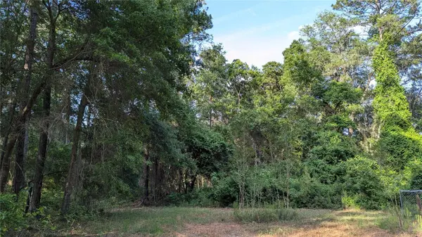 303 SE 130TH TER, Gainesville, FL 32641