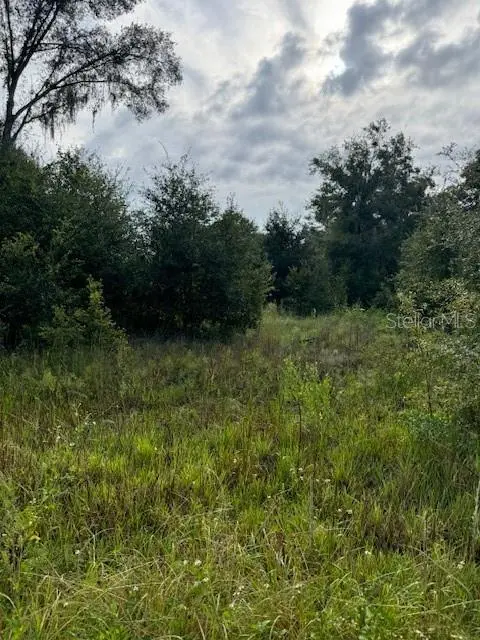 SPORTSMAN TRL, Lakeland, FL 33809