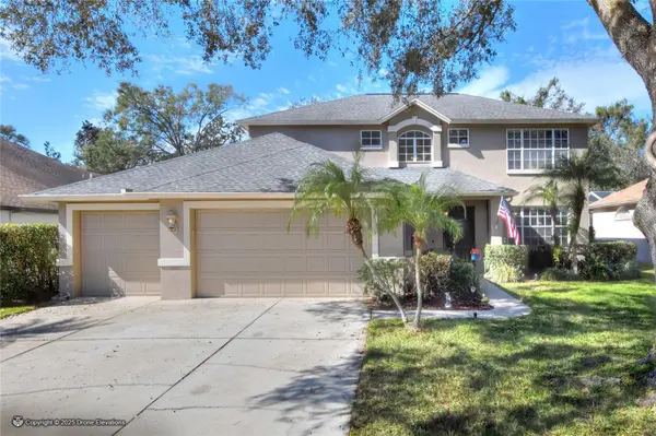 3507 AUTUMN GLEN DR, Valrico, FL 33596