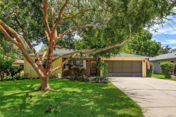 331 DOUGLAS DR, Eustis, FL 32726