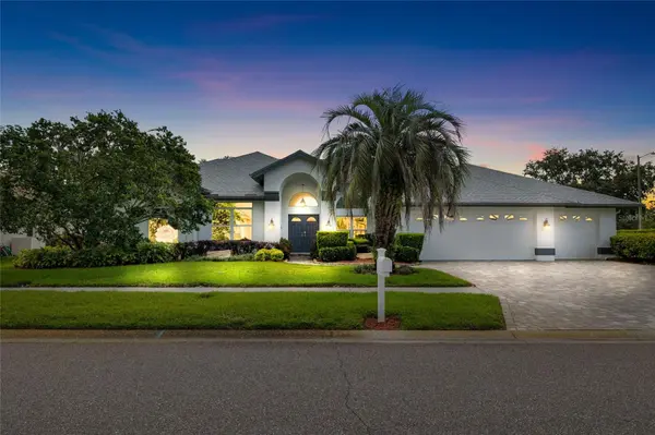 17301 STETSON LN, Odessa, FL 33556
