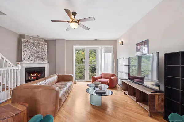 1730 S DES PLAINES AVE #2, Chicago, IL 60616