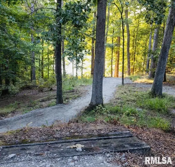 Lot 510 DEER LN, Goreville, IL 62939