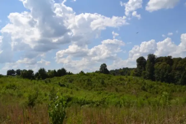 0 Landing Lane, Smithville, TN 37166