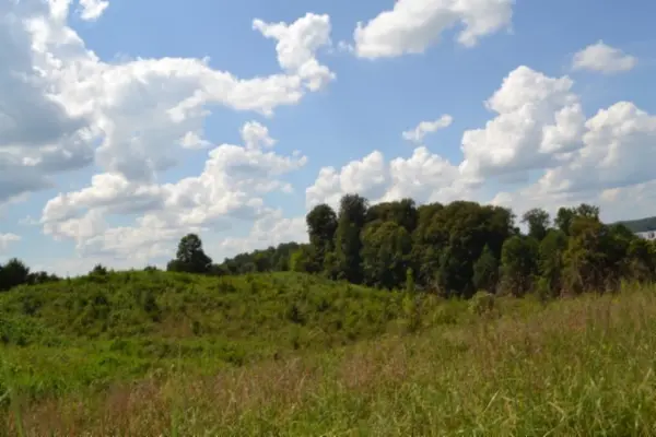0 Landing Lane, Smithville, TN 37166