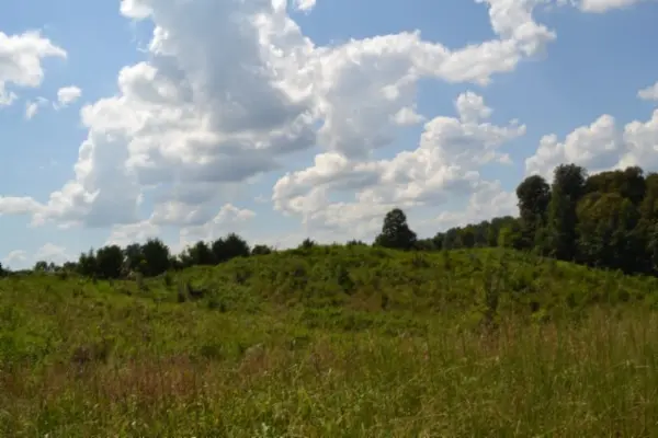 0 Landing Lane, Smithville, TN 37166