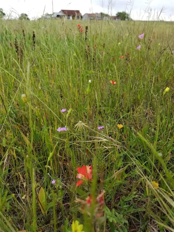 7188 Goehring RD, Ledbetter, TX 78946
