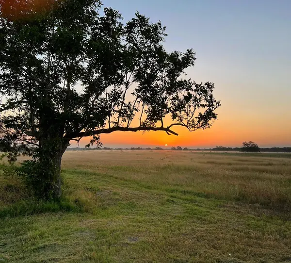 7188 Goehring RD, Ledbetter, TX 78946