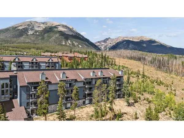 89310 Ryan Gulch #201, Silverthorne, CO 80498
