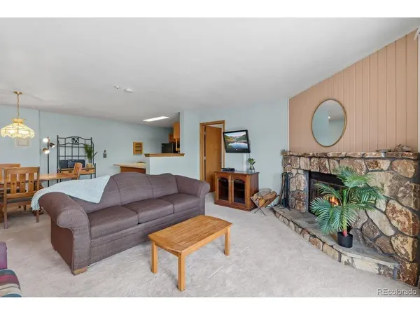 89310 Ryan Gulch #201, Silverthorne, CO 80498