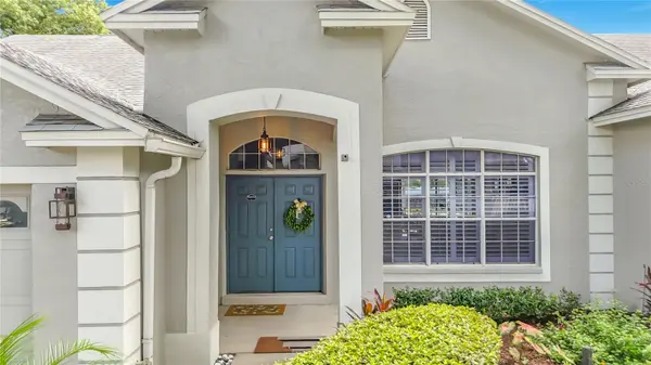3907 ROLLING TERRACE LN, Valrico, FL 33596