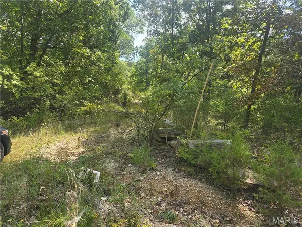 8607 John McKeever RD, Pacific, MO 63069