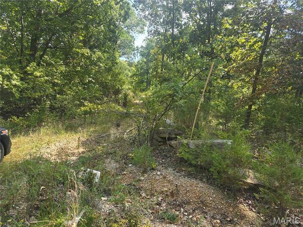 8607 John McKeever RD, Pacific, MO 63069