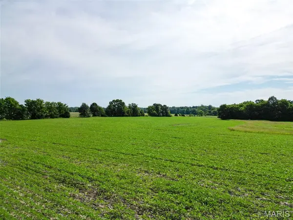 27248 Stamer RD, Wright City, MO 63390