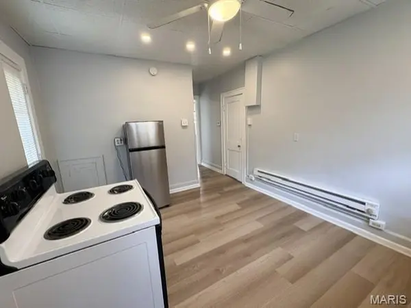 217 S Charles ST #4, Belleville, IL 62220