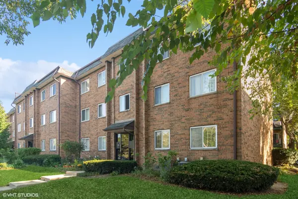 917 Buccaneer DR #1, Schaumburg, IL 60173
