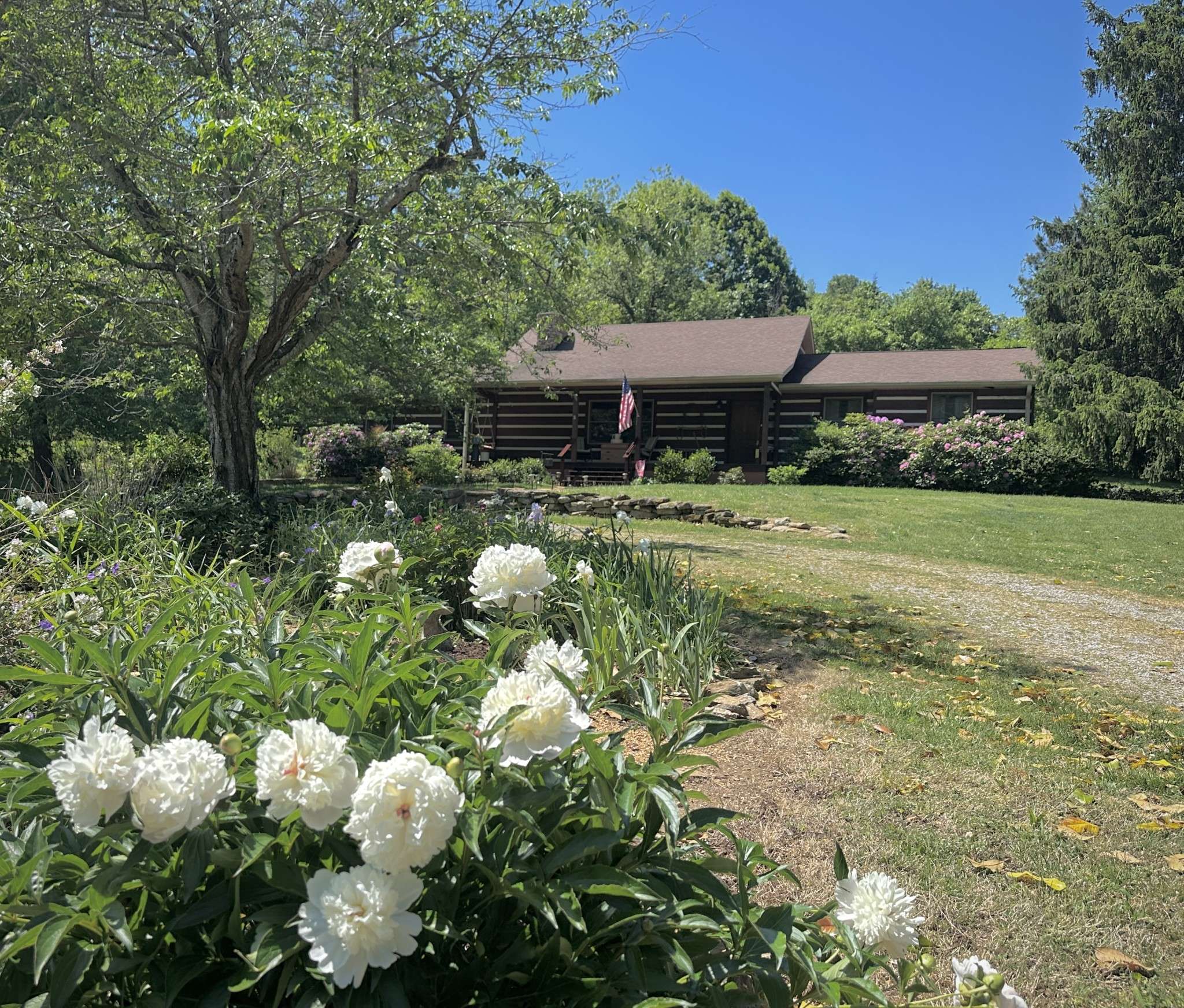 6861 Arno Allisona Rd, College Grove, TN 37046