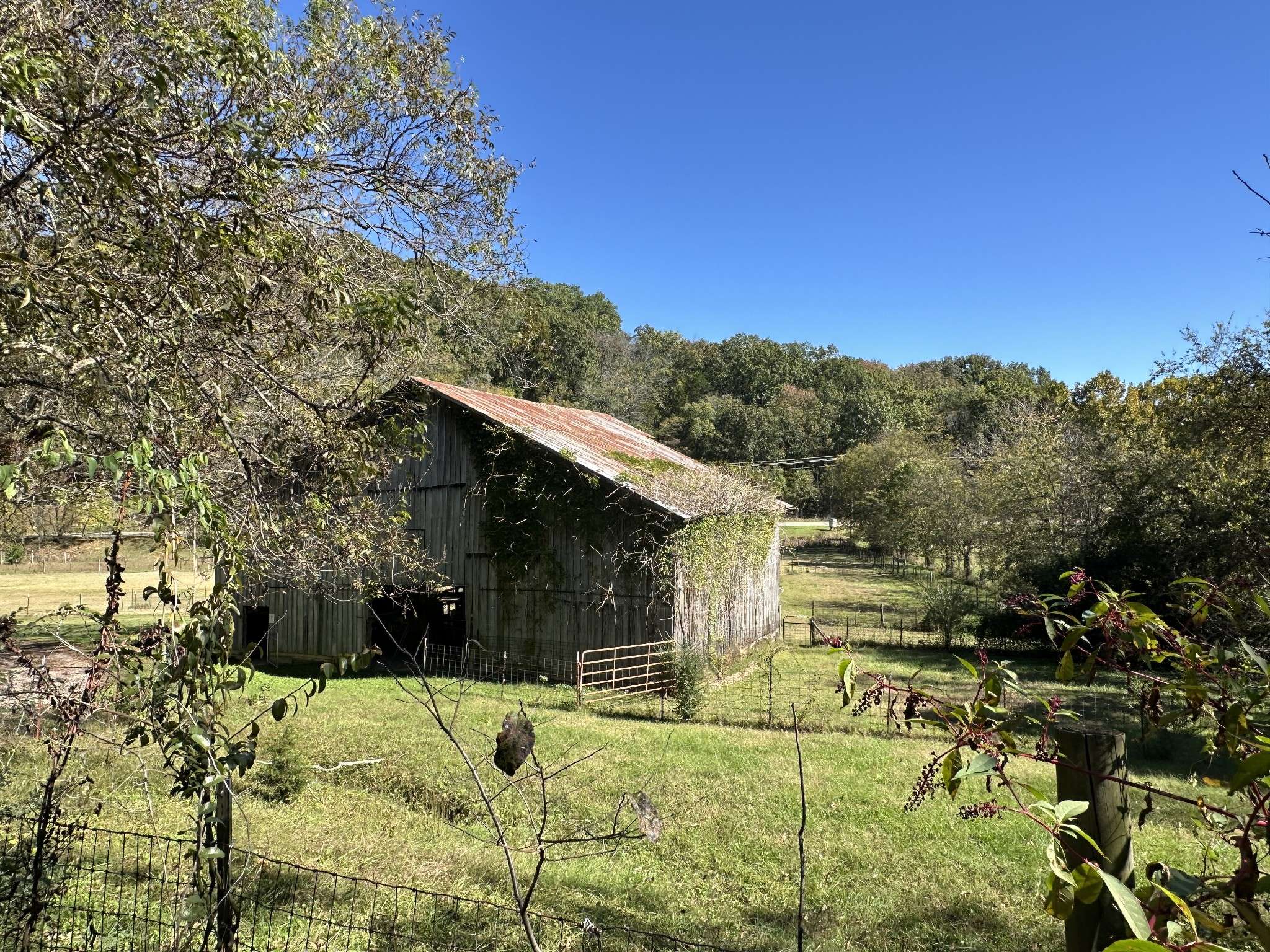 6861 Arno Allisona Rd, College Grove, TN 37046