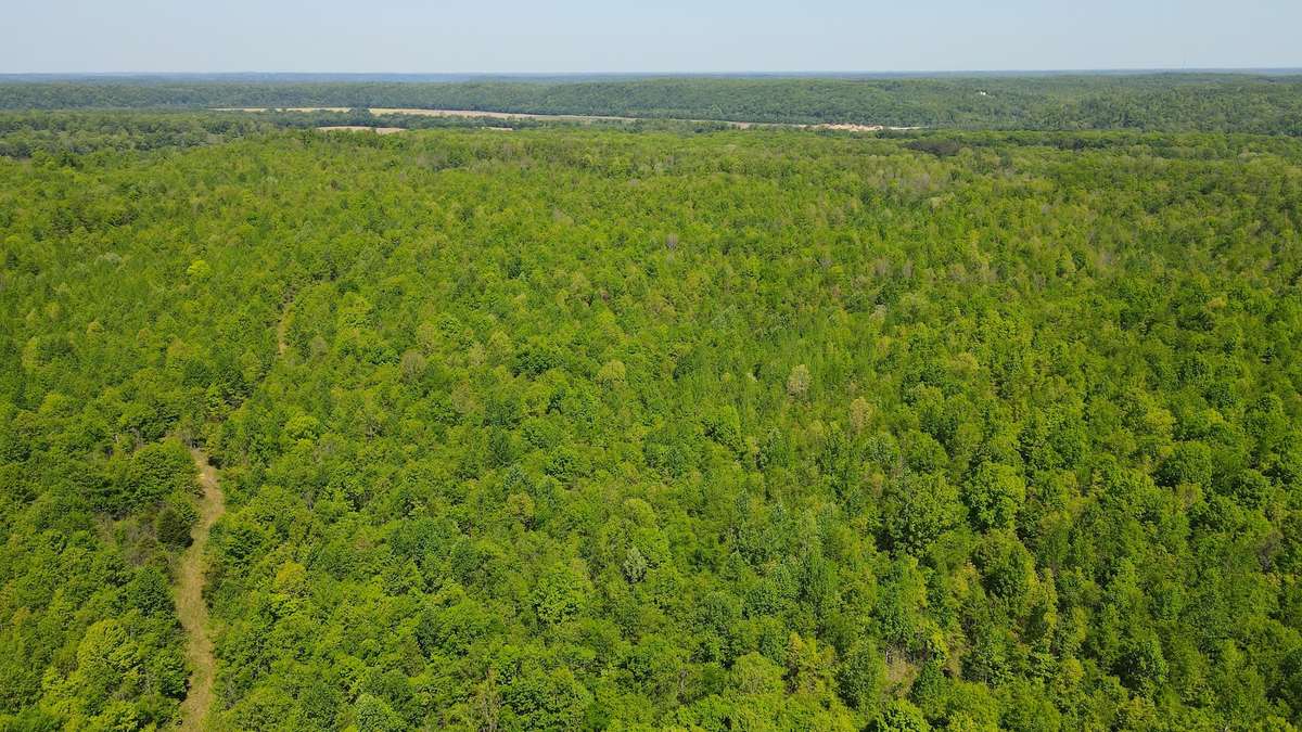 0 Gauging Station Ln, Hurricane Mills, TN 37078