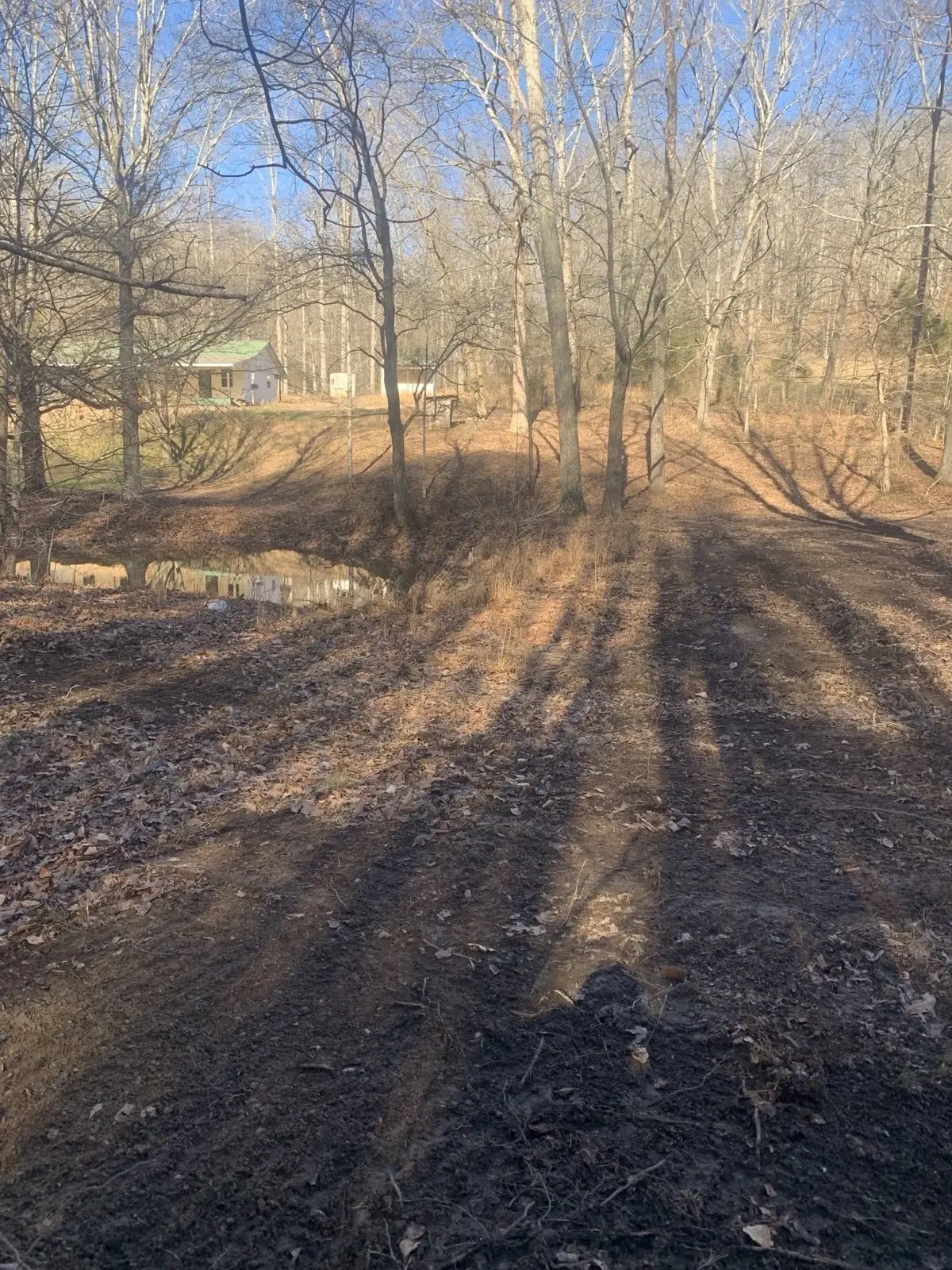 1252 Kelly Rd, Centerville, TN 37033