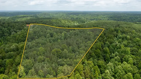 0 Old Mail Road, Duck River, TN 38454
