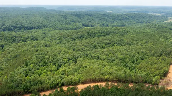 0 Old Mail Road, Duck River, TN 38454