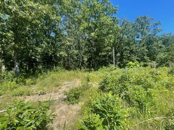 5597 Harmon Creek Rd, Eva, TN 38333