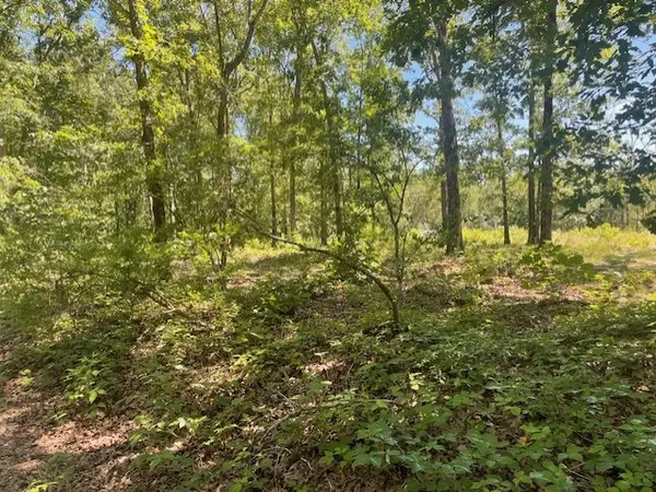 5597 Harmon Creek Rd, Eva, TN 38333