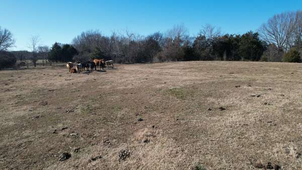 0 Welch RD, Newbern, TN 38059