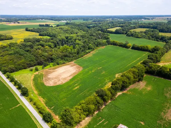 5016 Caney Sink Rd, Adams, TN 37010