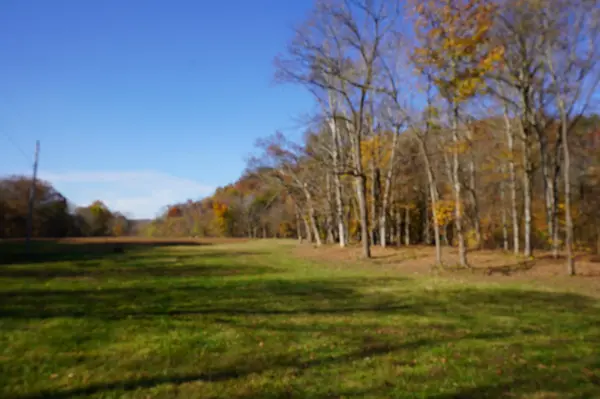 0 Upper Standing Rock Road, Dover, TN 37058