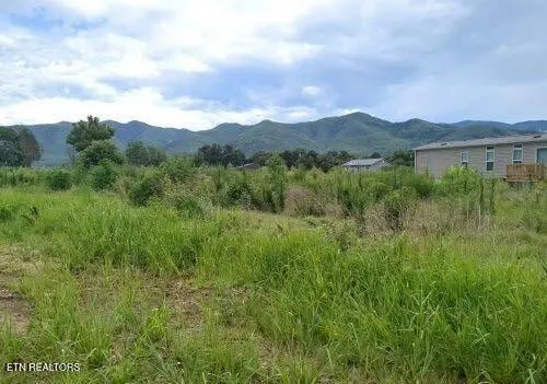 290 Bill Mauk Rd, Chuckey, TN 37641