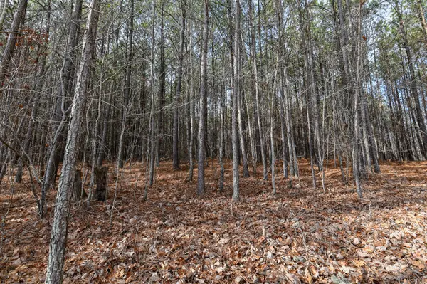 0 Brush Creek Rd, Hohenwald, TN 38462