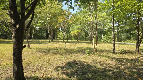 95 Ratteree Rd, Buchanan, TN 38222