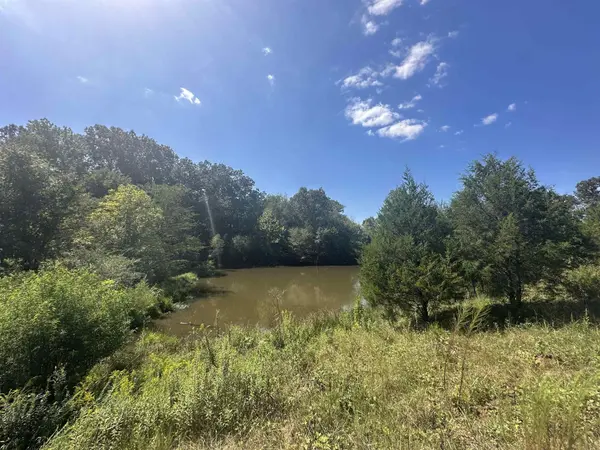 0 MIDDLEBURG RD, Decaturville, TN 38329