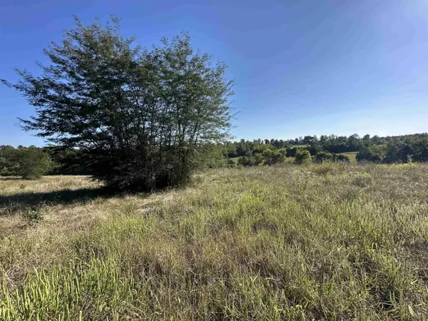 0 MIDDLEBURG RD, Decaturville, TN 38329