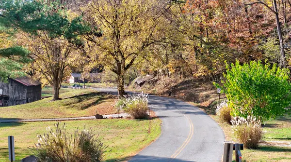 0 Rock House Hollow Road, Westmoreland, TN 37186