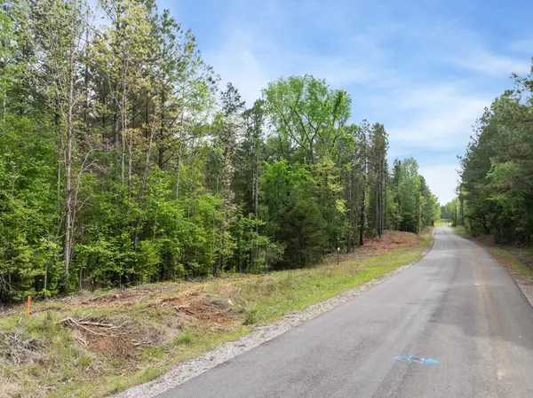 0 Curtis Hill Church Rd, Bethel Springs, TN 38315