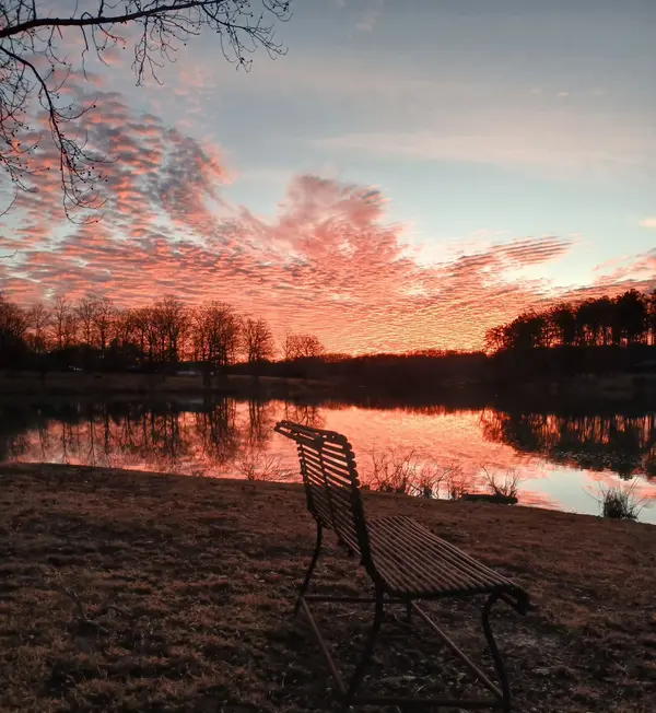 137 Lake Shore Blvd, Coalmont, TN 37313