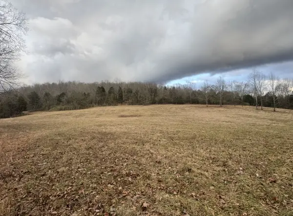 502 Rogues Fork Rd, Bethpage, TN 37022