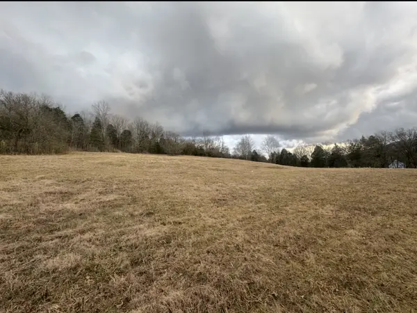 502 Rogues Fork Rd, Bethpage, TN 37022