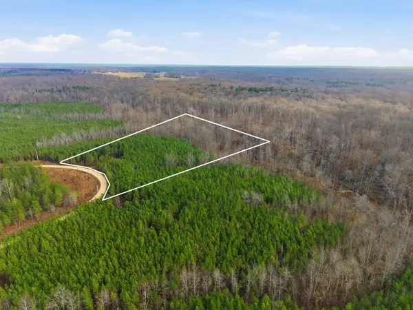 0 Cox Hollow Rd, Dover, TN 37058