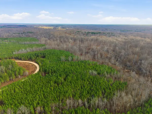 0 Cox Hollow Rd, Dover, TN 37058