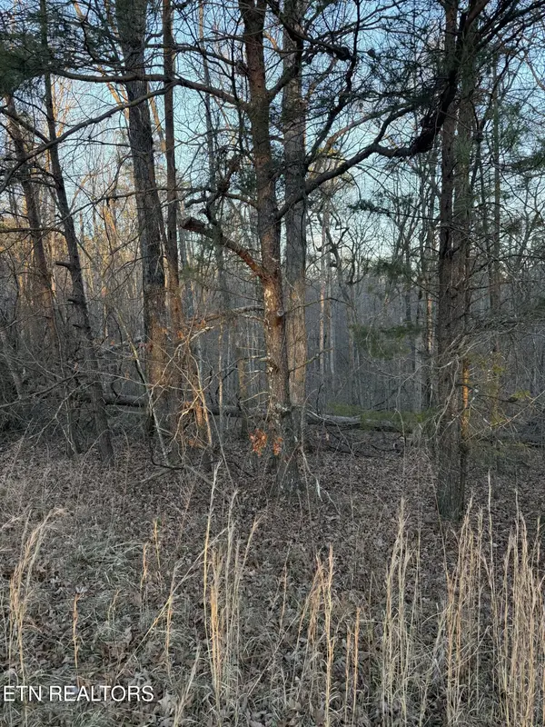 5 W Laurel Way, Monterey, TN 38574