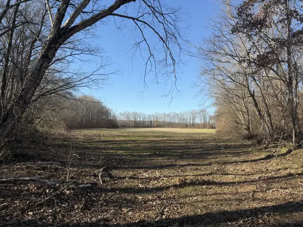 0 Harlon Iron Rd, Adamsville, TN 38310