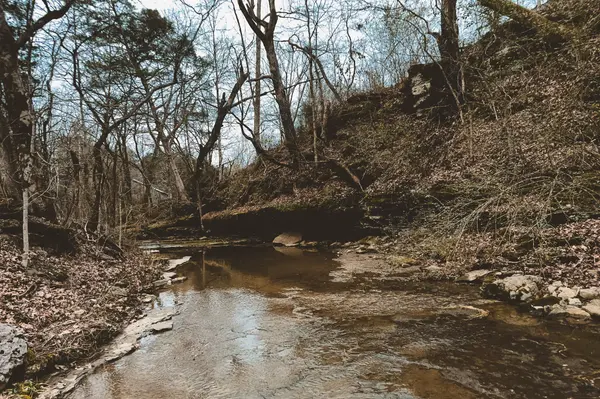 6680 Walker Creek Rd, Alexandria, TN 37012